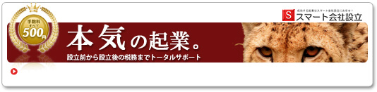 スマート会社設立東京