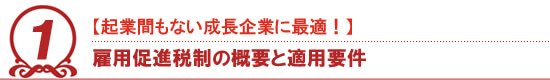 雇用促進税制優遇措置