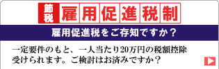 雇用促進税制