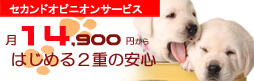 top_u_セカンドオピニオン