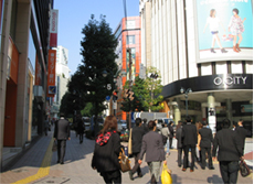 渋谷区役所までの道のりの1コマ